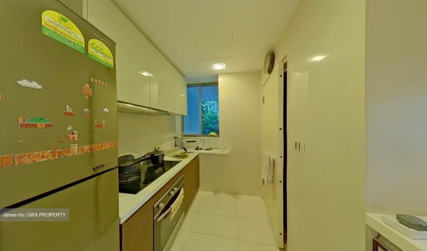 Dakota Residences (D14), Condominium #561655241